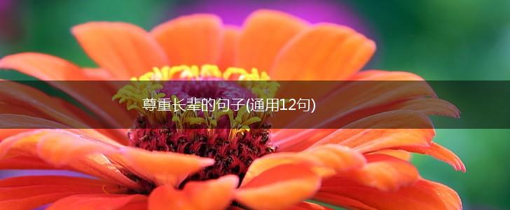 尊重长辈的句子(通用12句),第1张