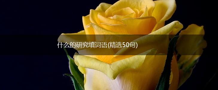 什么的研究填词语(精选50句),第1张