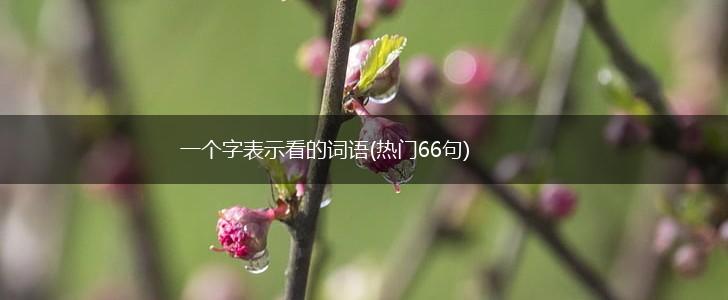 一个字表示看的词语(热门66句),第1张