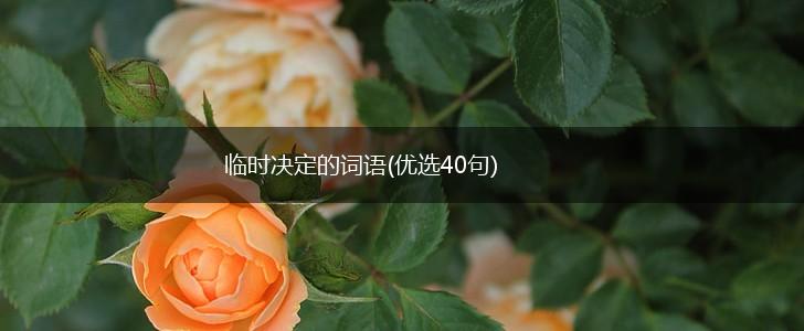 临时决定的词语(优选40句),第1张