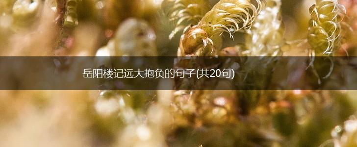 岳阳楼记远大抱负的句子(共20句),第1张