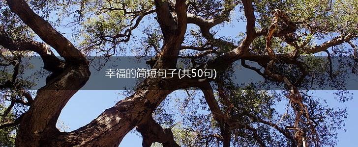 幸福的简短句子(共50句),第1张