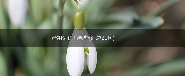 产组词语有哪些(汇总21句),第1张
