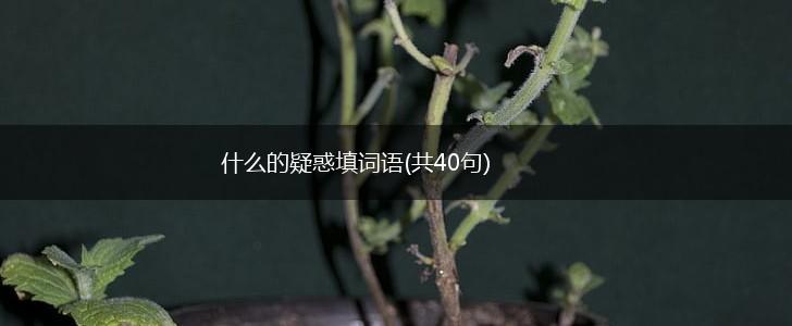 什么的疑惑填词语(共40句),第1张