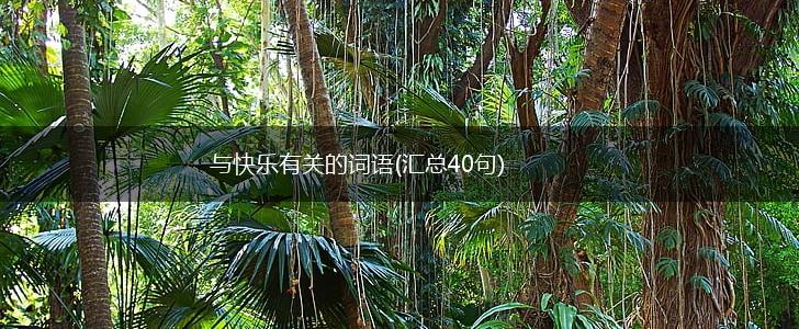 与快乐有关的词语(汇总40句),第1张