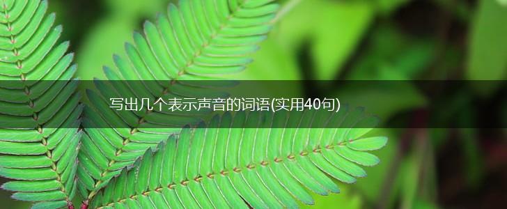 写出几个表示声音的词语(实用40句),第1张