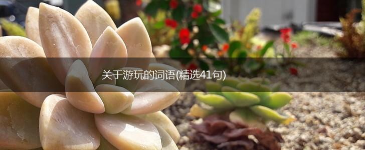 关于游玩的词语(精选41句),第1张