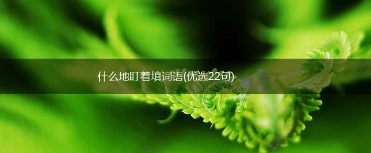 什么地盯着填词语(优选22句),第1张