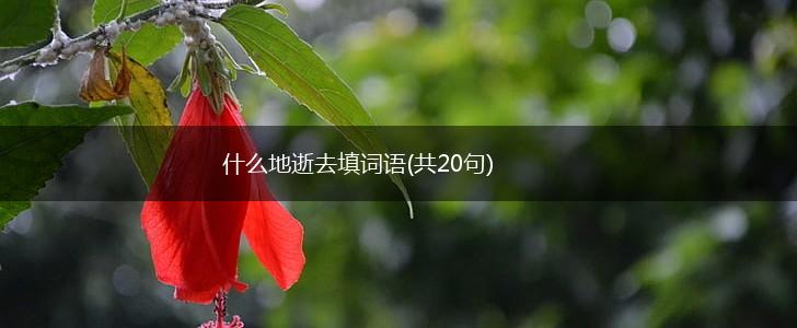 什么地逝去填词语(共20句),第1张