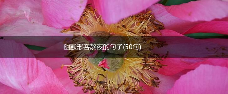 幽默形容熬夜的句子(50句),第1张