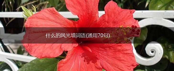 什么的风光填词语(通用70句),第1张