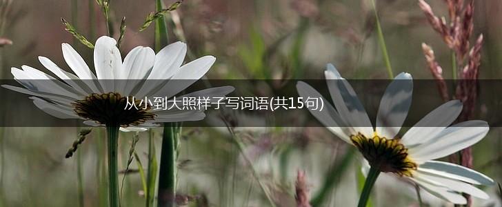 从小到大照样子写词语(共15句),第1张