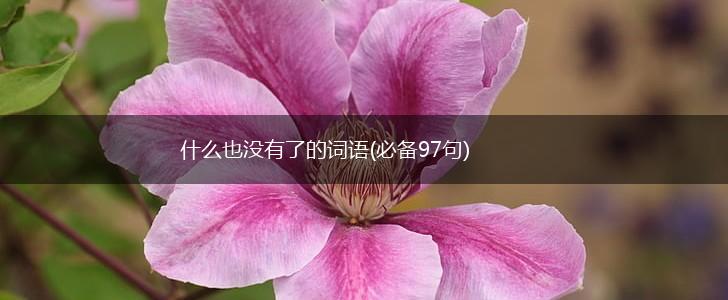 什么也没有了的词语(必备97句),第1张
