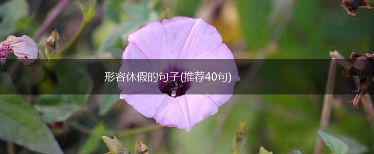 形容休假的句子(推荐40句),第1张