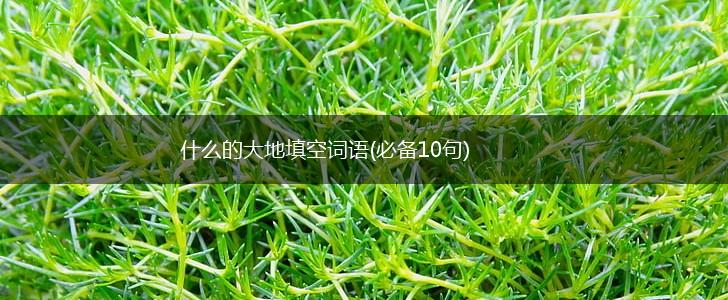 什么的大地填空词语(必备10句),第1张
