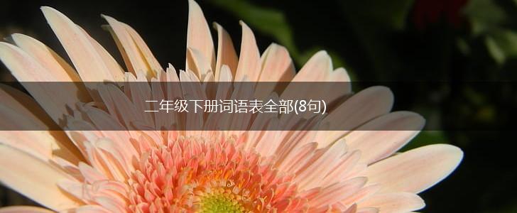 二年级下册词语表全部(8句),第1张