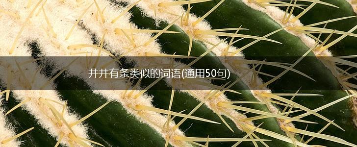 井井有条类似的词语(通用50句),第1张