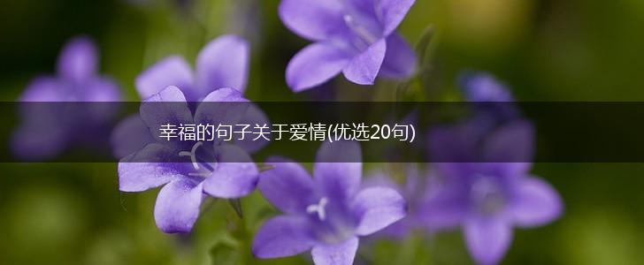 幸福的句子关于爱情(优选20句),第1张