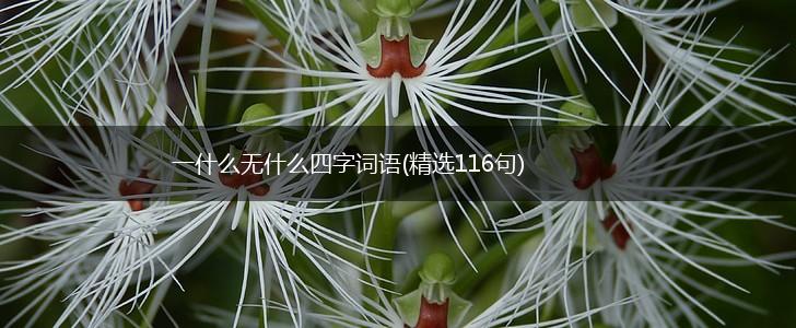 一什么无什么四字词语(精选116句),第1张