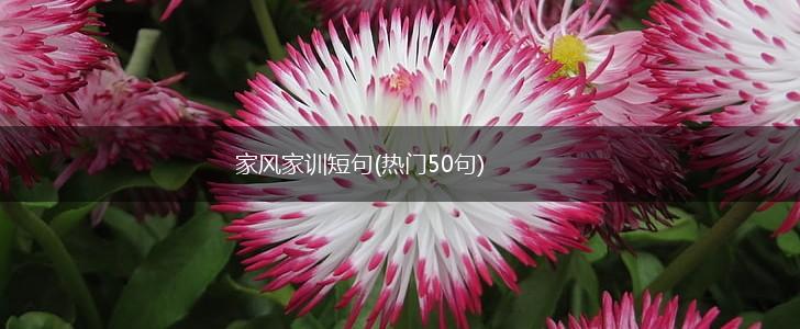 家风家训短句(热门50句),第1张