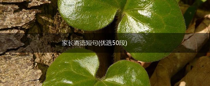 家长寄语短句(优选50段),第1张