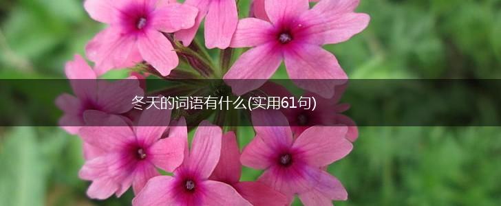冬天的词语有什么(实用61句),第1张