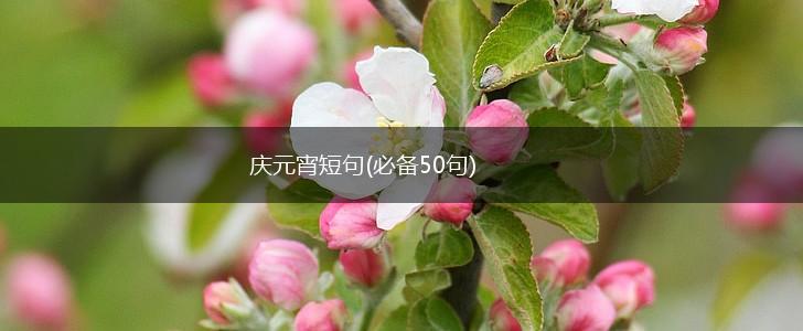 庆元宵短句(必备50句),第1张