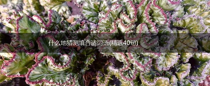 什么地猜测填合适词语(精选40句),第1张