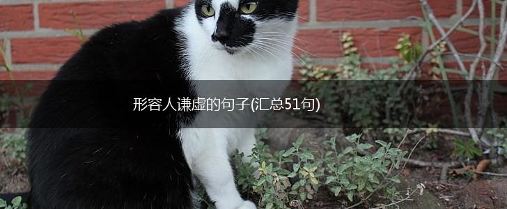 形容人谦虚的句子(汇总51句),第1张