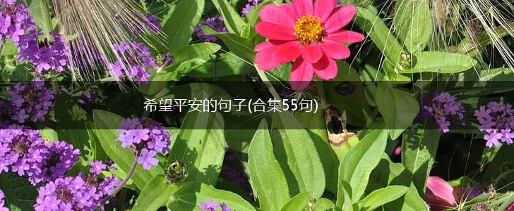 希望平安的句子(合集55句),第1张