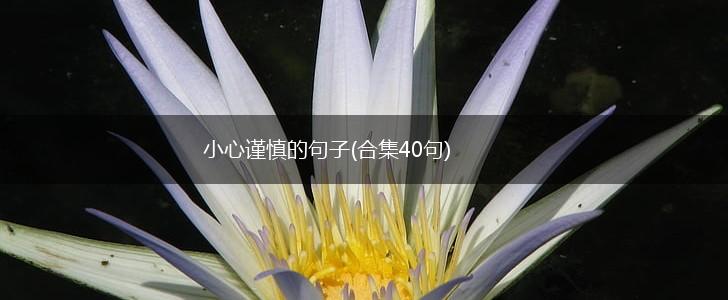 小心谨慎的句子(合集40句),第1张