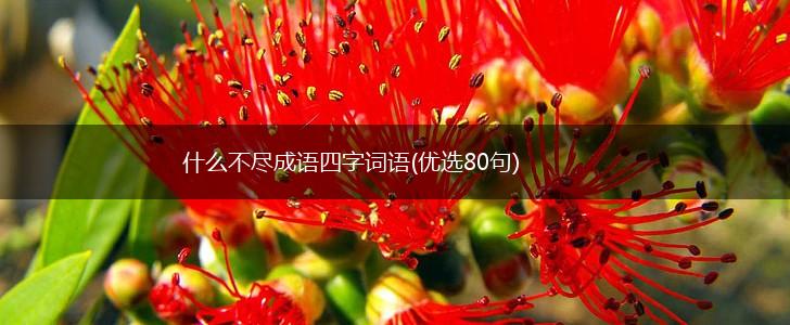 什么不尽成语四字词语(优选80句),第1张
