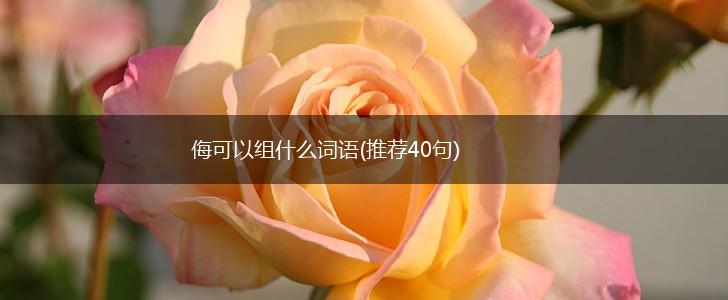 侮可以组什么词语(推荐40句),第1张
