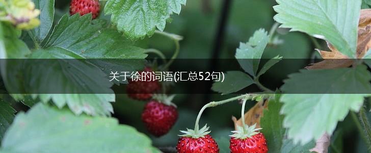 关于徐的词语(汇总52句),第1张