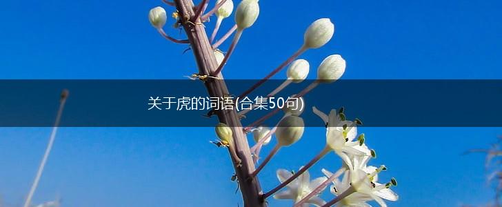 关于虎的词语(合集50句),第1张