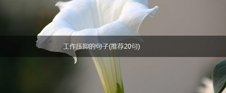 工作压抑的句子(推荐20句),第1张