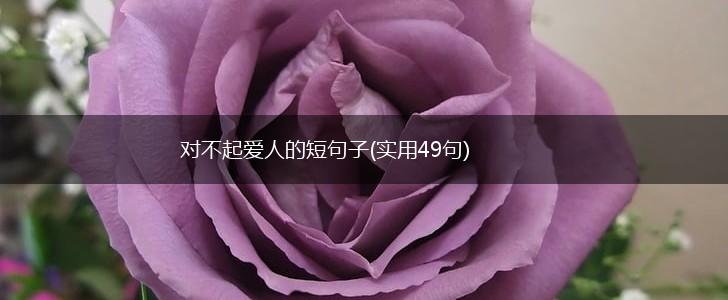 对不起爱人的短句子(实用49句),第1张