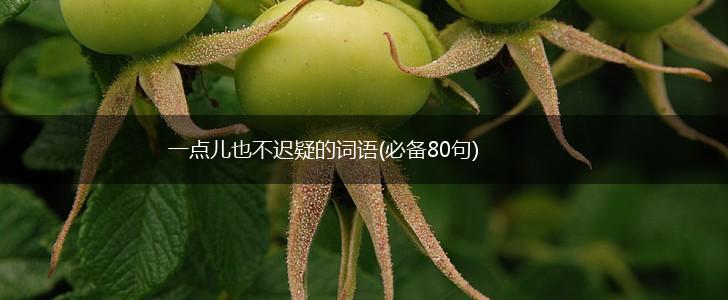 一点儿也不迟疑的词语(必备80句),第1张
