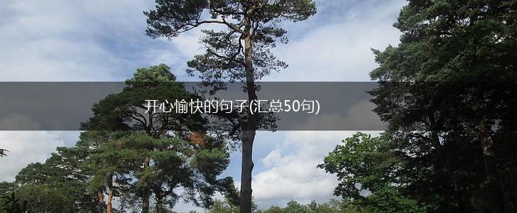 开心愉快的句子(汇总50句),第1张