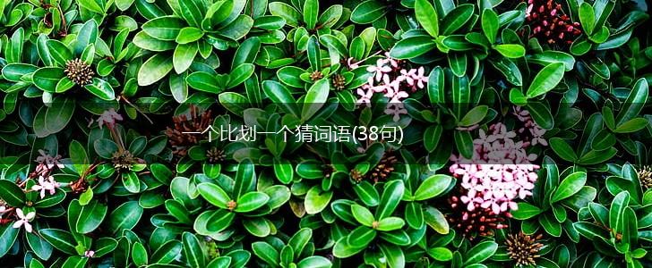 一个比划一个猜词语(38句),第1张