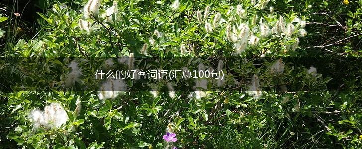 什么的好客词语(汇总100句),第1张