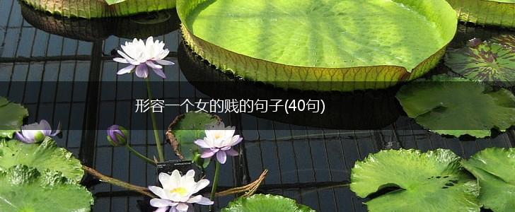 形容一个女的贱的句子(40句),第1张