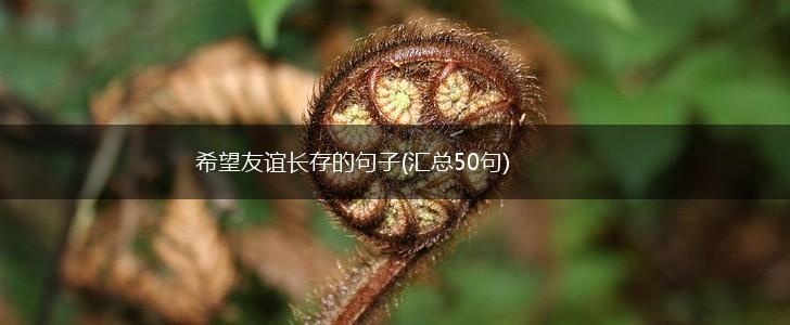 希望友谊长存的句子(汇总50句),第1张