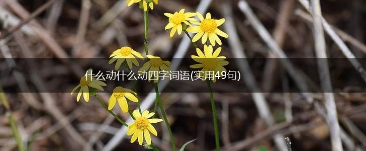 什么动什么动四字词语(实用49句),第1张