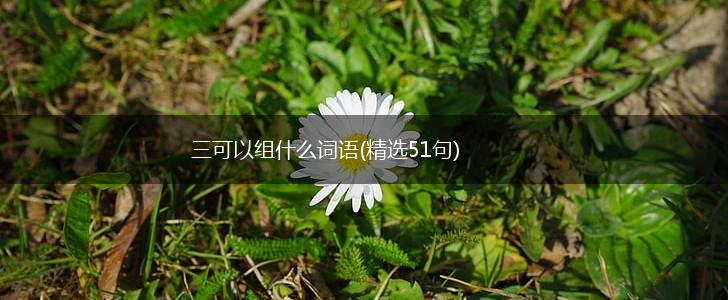 三可以组什么词语(精选51句),第1张