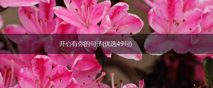 开心有你的句子(优选49句),第1张