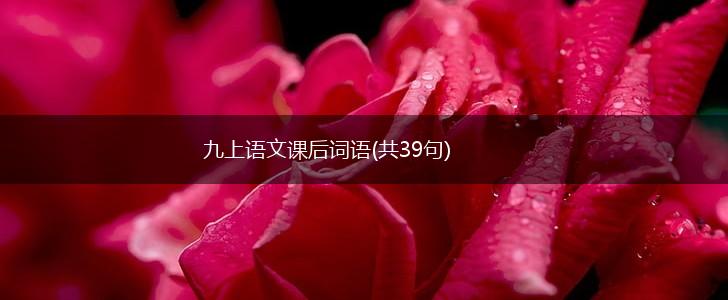 九上语文课后词语(共39句),第1张