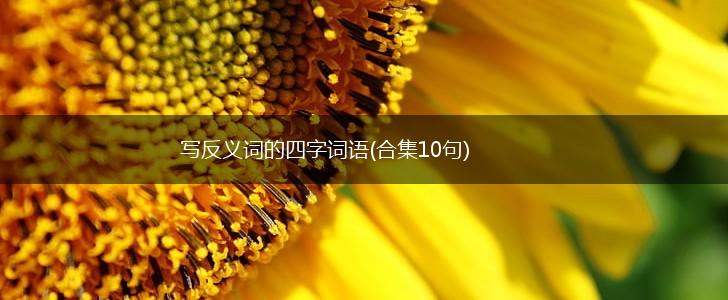 写反义词的四字词语(合集10句),第1张