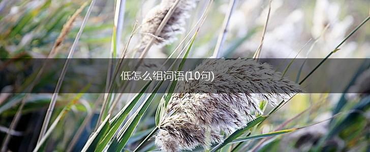 低怎么组词语(10句),第1张