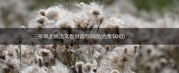 三年级上册语文看拼音写词语(合集50句),第1张